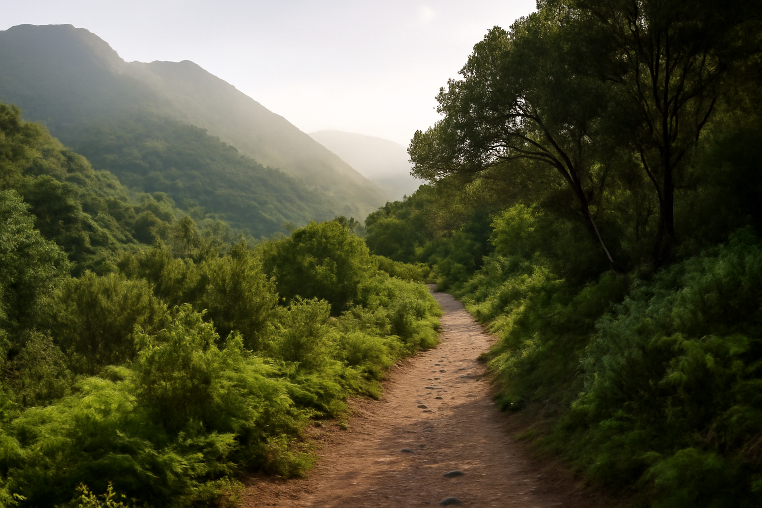 Sendero natural en La Palma para una guía sobre el GR-130 y alojamiento rural