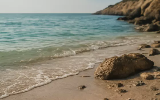 Por qué alojarse en Palamós: playa, puerto, gastronomía y rutas costeras con Can Boni como base