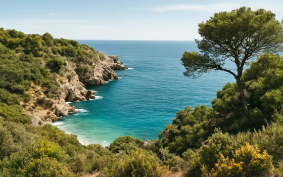 Paseo marítimo de Palamós, puerto y actividades náuticas: guía práctica para tu estancia en Can Pere Boni